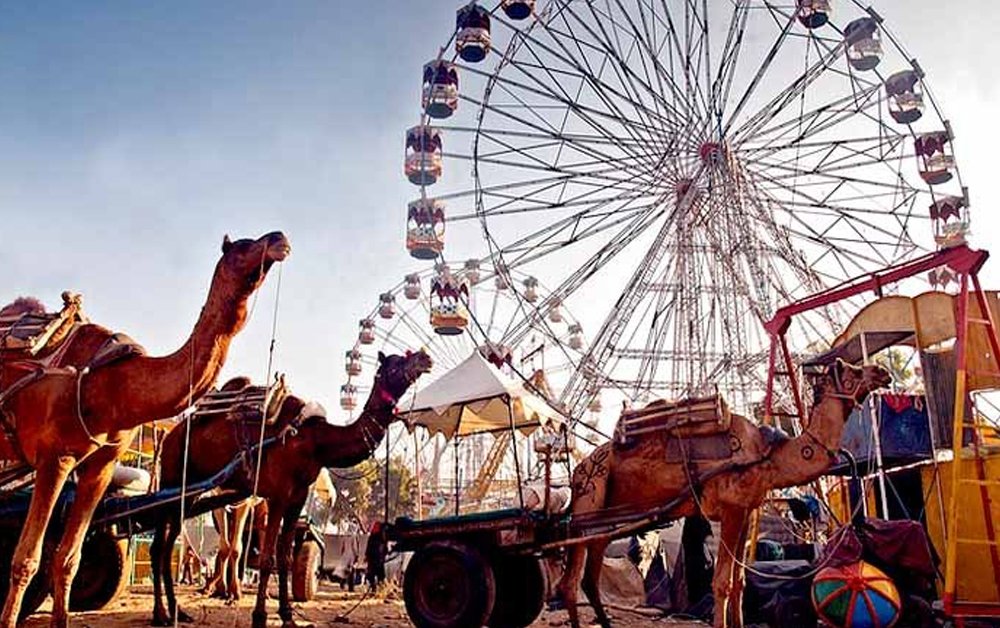 Ferias y festivales