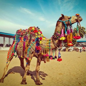 Feria de Pushkar